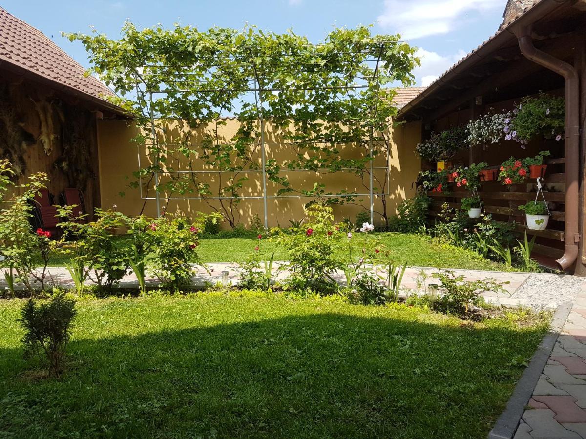 Casa Ovesia Villa Sacele Ngoại thất bức ảnh